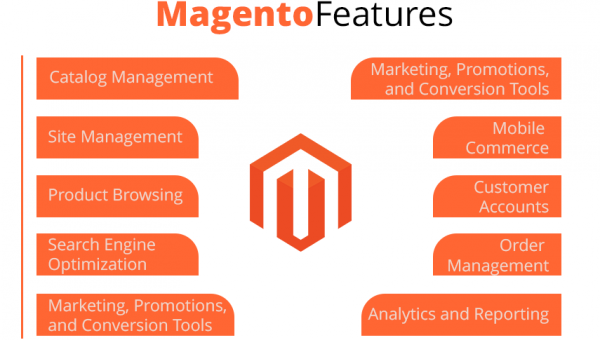 The Next Big Thing in Magento 2.4